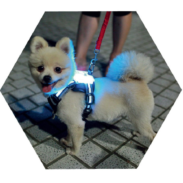 LED Hundegeschirr für alle Hundegrößen